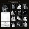 2026 Square Wall Calendar, Cat Shaming, 16-Month Humor Theme with 180 Reminder Stickers (12x12 In) - 4 of 4