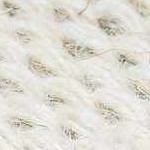 off white, light silver, ash