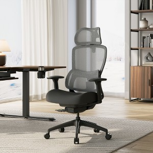 EUREKA ERGONOMIC Lark, Adjustable Lumbar Office Chair - 1 of 4