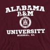 Campus Lab Alabama A&M University Official Circle Logo Adult Pull-Over Hoodie - 2 of 4