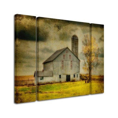 Trademark Fine Art - Lois Bryan 'Old Barn on Stormy Afternoon'