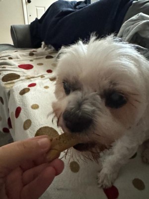 Guest review image 2 of 2, zoom in