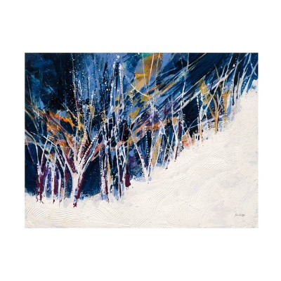 14" x 19" Jan Griggs 'Snowy Night' Unframed Canvas Art - Trademark Fine Art