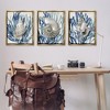 Stupell Industries Trio of Shells & Coral, 25" x 31" - 2 of 4
