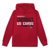 NCAA Louisville Cardinals Toddler Boys' Poly Hooded Sweatshirt - 2 of 3