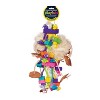 Prevue Pet Products 62375 Bodacious Bites Tough Puff Bird Toy - 2 of 2