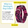 Country Brook Petz HossFit Jr Wide Martingale Dog Collar - Attitude Collection - 4 of 4