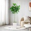Artificial Fiddle Leaf Fig Tree, Faux Fiddle Leaf Fig Tree with Tall White Planter - 4 of 4