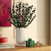 Preserved Artificial Christmas Bundle Red/Green - Threshold™ - 2 of 4