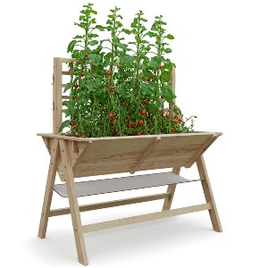 52x30x54 in Raised Garden Bed with Trellis, Wooden Raised Planter Box Outdoor for Growing Vegetables and Herbs, Depth 10.6 in - 1 of 4