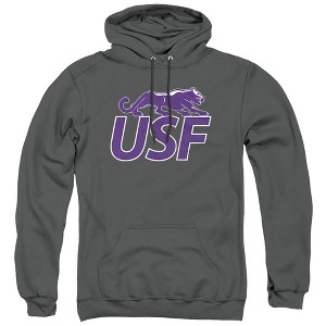 University of Sioux Falls Official Distressed Primary Adult Pull-Over Hoodie - 1 of 4