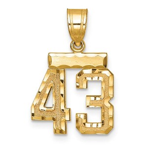 Black Bow Jewelry 14k Yellow Gold, Varsity Collection, Small D/C Pendant Number 43 - 1 of 3
