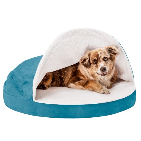 Target dog outlet beds