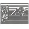 NFL Carolina Panthers Acrylic Water Bottle with UV Graphics - 34oz - 4 of 4