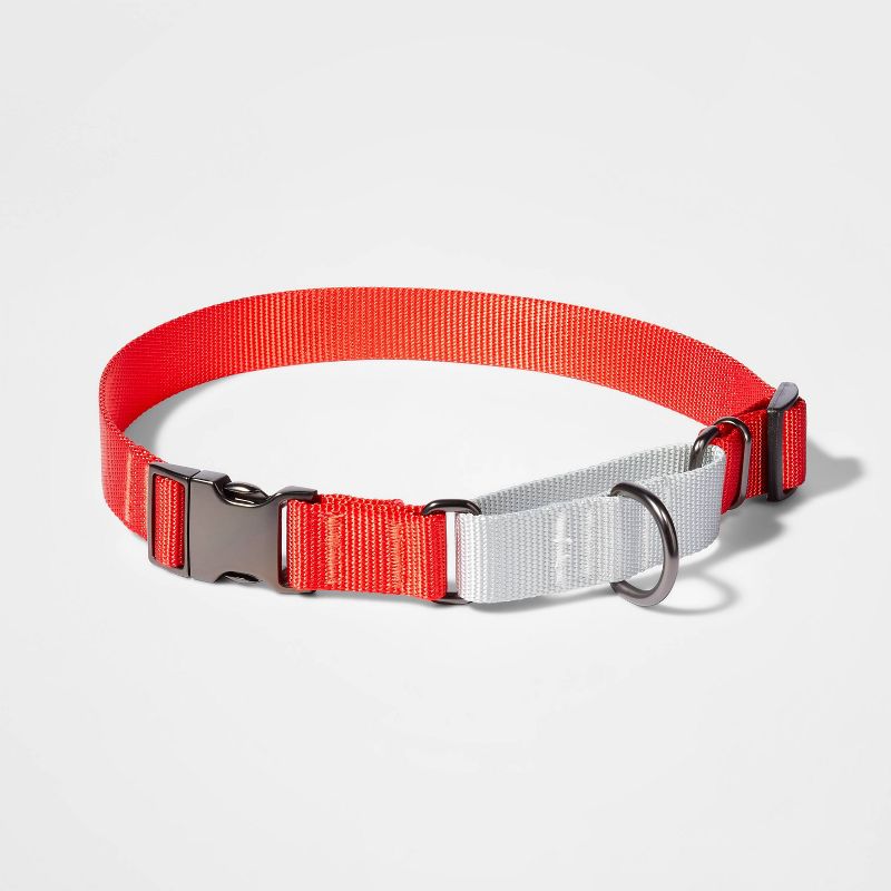 Martingale with Buckle Dog Collar - Tomato/Silver - Boots & Barkley™, 1 of 5