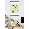 Trends International Reinders: Fruit Market - Limoncello Per Tutti Framed Wall Poster Prints - 2 of 4
