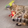 Quirky Kitty Taco Tuesday Cat Toy - 3pk - 4 of 4