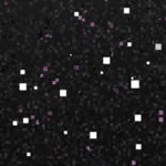 minnesota twins 1976-1986