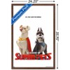 Trends International DC Comics Movie DC League of Super-Pets - Krypto and Ace Framed Wall Poster Prints - 3 of 4