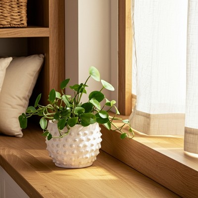 Textured Pottery Terracotta Planter with Raised Dot Design and Rounded Body - Decorative Handcrafted Planter for Indoor Outdoor Display