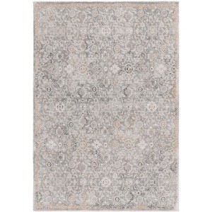 Sterling STI227 Power Loomed Indoor Rugs - Safavieh - 1 of 4