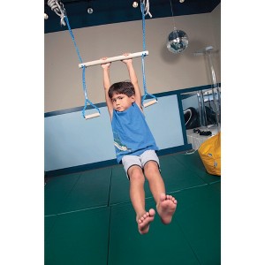 Abilitations Monkey Bar Swing - 1 of 3