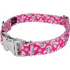 Country Brook Petz Premium Dog Collar - Spring Collection - 2 of 4