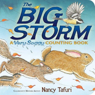 The Big Storm - (Classic Board Books) by  Nancy Tafuri (Board Book)