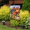 Briarwood Lane Summer Garden Flag 12x18 For Outdoor Farmyard Rooster For Summer Garden Flag Flags For Outside - 4 of 4