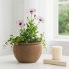 Rustic Wide Round Plant Pot for Indoor Plants or Outdoor - Traditional Clay Design That Adds Timeless Charm to Porch, Patio, or Entryway - 9" Brown - 2 of 4