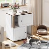 Acekool Double Layer Cat Litter Box Enclosure for 2 Cats, Hidden Litter Box Furniture with Scratching Post, 2-Story Cat Washroom & Bed, End Table - 4 of 4