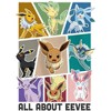 Girl's Pokemon All About Eevee Eeveeloution T-Shirt - image 2 of 4