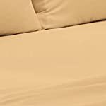 camel gold