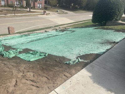 Guest review image 3 of 4, zoom in