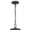 Crystorama Lighting Byron 3 - Light Pendant in  Matte Black - 3 of 4
