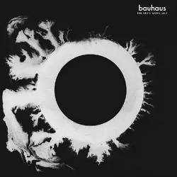 Bauhaus - The Sky's Gone Out (Vinyl)