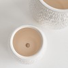 Plum & Post Nereus Flowerpot Planters Set of 2 - 3 of 3