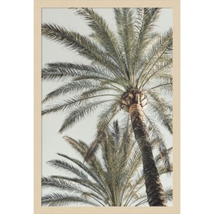 Amanti Art Palm 005 by Pictufy Studio III Wood Framed Wall Art Print - 1 of 4