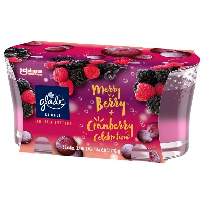 Merry Berry and Cranberry Celebration Scented Gel Jar