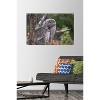 Trends International The Comedy Wildlife Photography Awards: John Blumenkamp - Monday Blahs Unframed Wall Poster Prints - 2 of 4