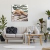 Stupell Industries Sleeping Brown Bear Wildlife Canvas Wall Art - 2 of 4