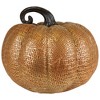 Northlight Embossed Pumpkin Fall Harvest Decoration - 7.5" - 4 of 4