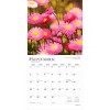 BrownTrout Wildflowers 2026 12"x24" Hanging Square Wall Calendar Plastic-Free - 4 of 4