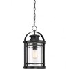 Quoizel Lighting Booker 1 - Light Pendant in  Mystic Black - 3 of 4