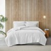 Okak Ivory White Plush Polyester Bed Comforter Set with Hypoallergenic Down Alternative Filling,Reverse Lightweight Comforter Bedding Sets - 2 of 4