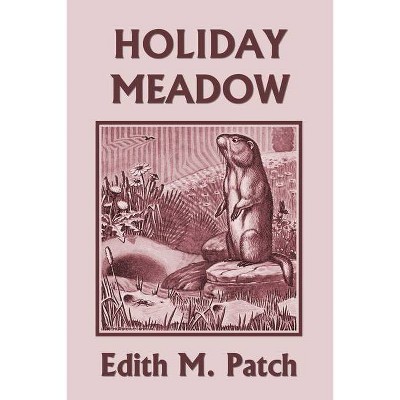 Holiday Meadow (Yesterday's Classics) - by  Edith M Patch (Paperback)