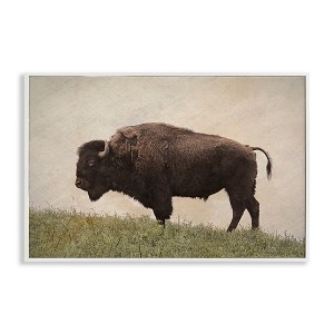 Stupell Industries Serene Buffalo on Country Hill Framed Giclee Art - 1 of 4