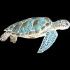 Junior's Design By Humans Sea turtle By Savousepate T-Shirt - 2 of 3