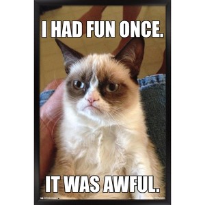 Trends International Grumpy Cat - Fun Framed Wall Poster Prints - 1 of 4