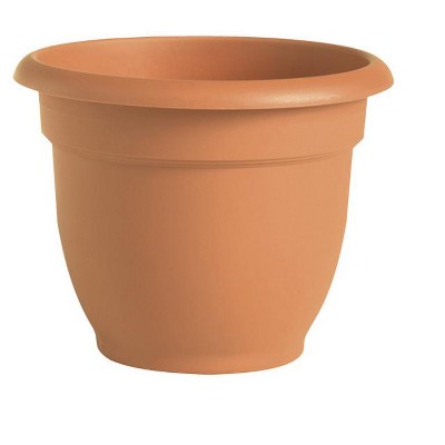 Bloem 8 In. D Resin Ariana Planter Terracotta Clay : Target